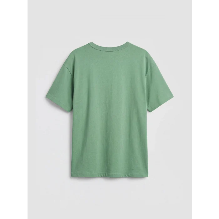 LCW Kids Yeşil Bisiklet Yaka Brawl Stars Baskılı Erkek Çocuk Tişört