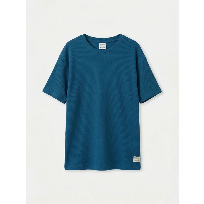 LCW Kids Mavi Bisiklet Yaka Erkek Çocuk Tişört