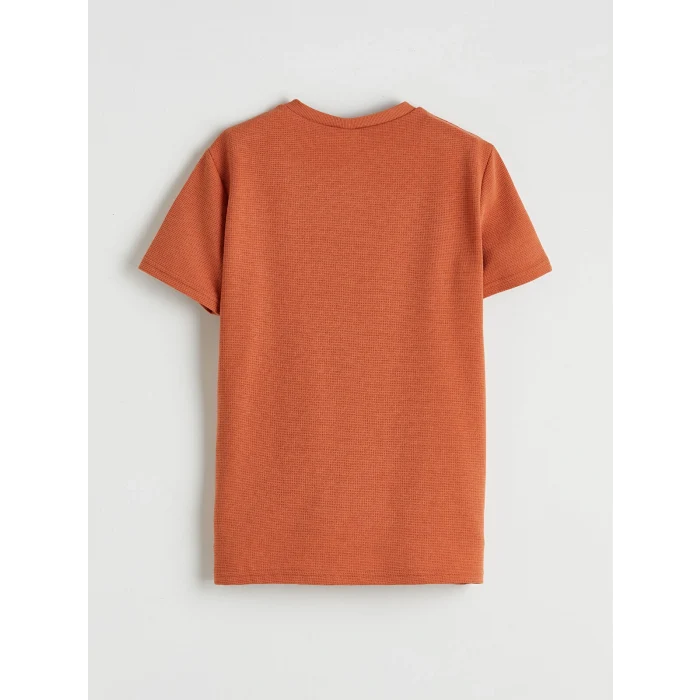 LCW Kids Turuncu Bisiklet Yaka Erkek Çocuk Tişört