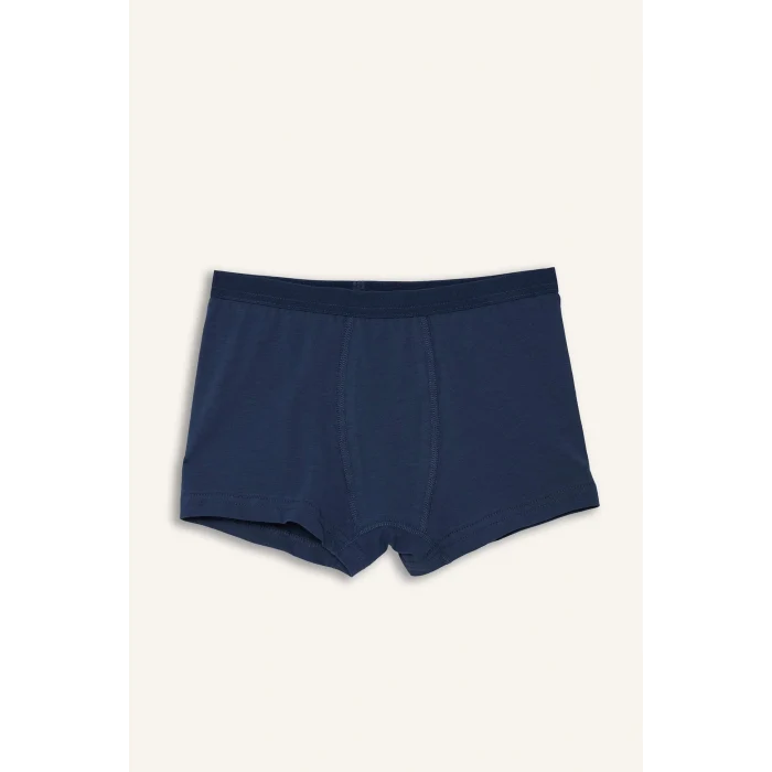 Defacto G8557A8BE789 Mavi Ribana 3lü Boxer Erkek Çocuk