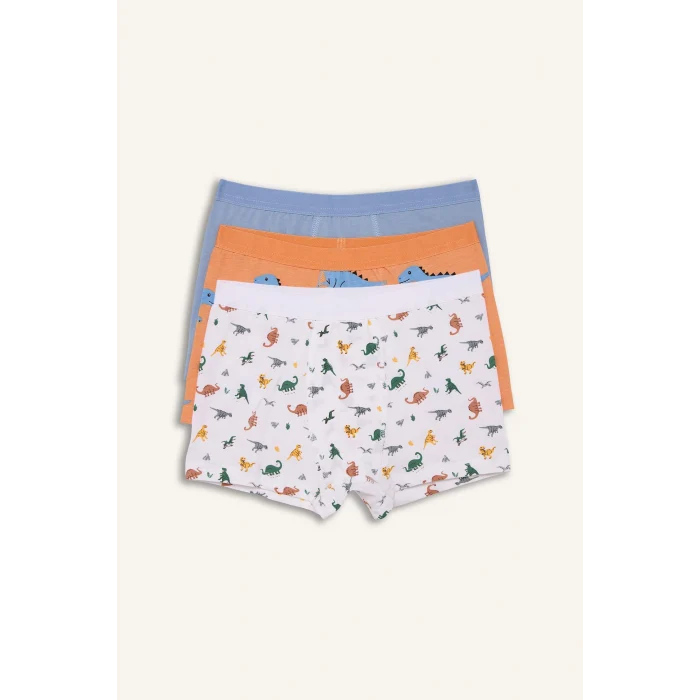 Defacto H0704A8WT34 Beyaz Dinozor Baskılı Penye 3lü Boxer Erkek Çocuk