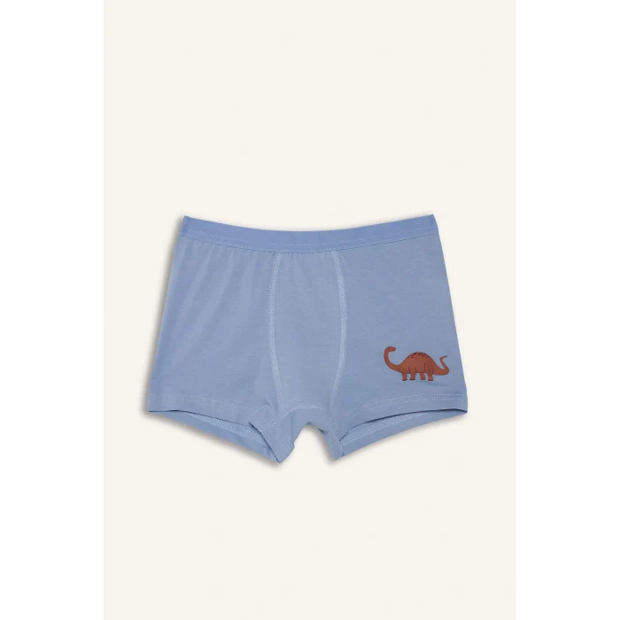 Defacto H0704A8WT34 Beyaz Dinozor Baskılı Penye 3lü Boxer Erkek Çocuk