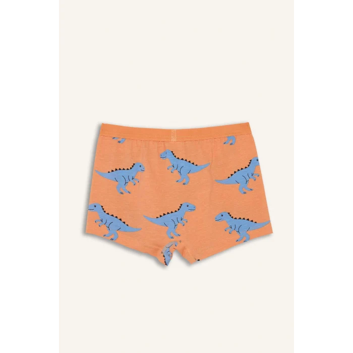 Defacto H0704A8WT34 Beyaz Dinozor Baskılı Penye 3lü Boxer Erkek Çocuk