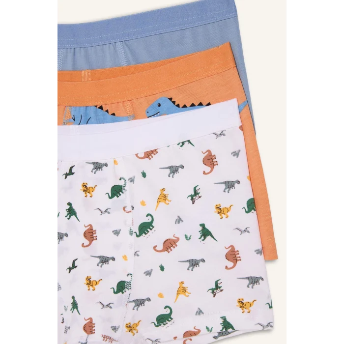 Defacto H0704A8WT34 Beyaz Dinozor Baskılı Penye 3lü Boxer Erkek Çocuk