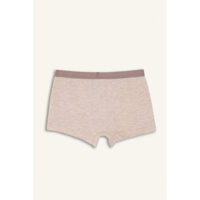 Defacto G8559A8GN425 Yeşil Ayı Baskılı Penye 3lü Boxer Erkek Çocuk