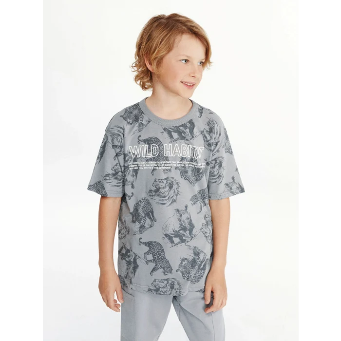 LCW Kids Gri Bisiklet Yaka Erkek Çocuk Tişört