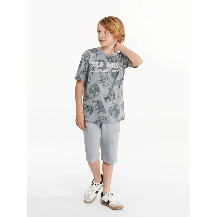 LCW Kids Gri Bisiklet Yaka Erkek Çocuk Tişört
