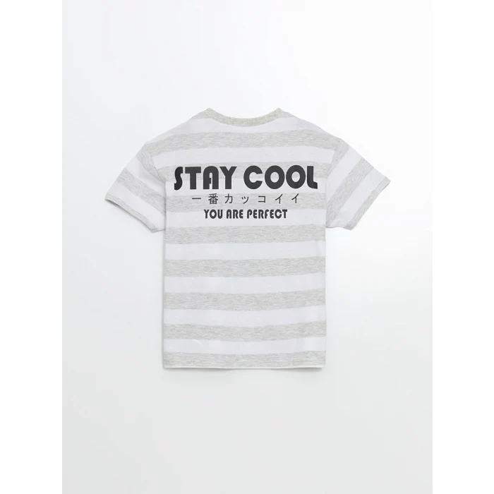 LCW Kids Karışık Bisiklet Yaka Çizgili Erkek Çocuk Tişört