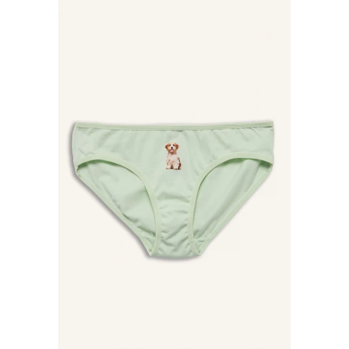 Defacto H0849A8YL246 Sarı Hayvan Baskılı Penye 3lü Slip Külot Kız Çocuk