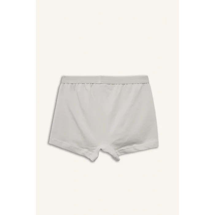 Defacto H0941A8BE364 Mavi Penye 3lü Boxer Erkek Çocuk