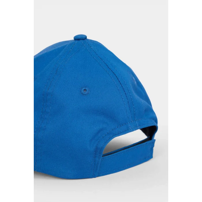 Defacto G0137A8BE2 Mavi Sonıc The Hedgedog: Modern Pamuklu Cap Şapka Erkek Çocuk