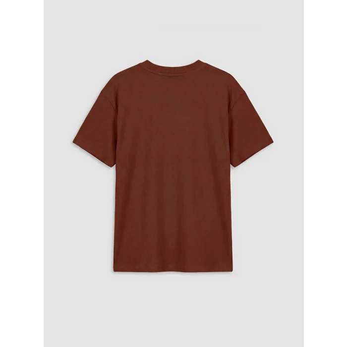 LCW Kids Kahverengi Bisiklet Yaka Erkek Çocuk Tişört