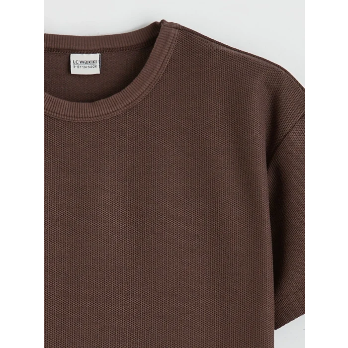 LCW Kids Kahverengi Bisiklet Yaka Erkek Çocuk Tişört