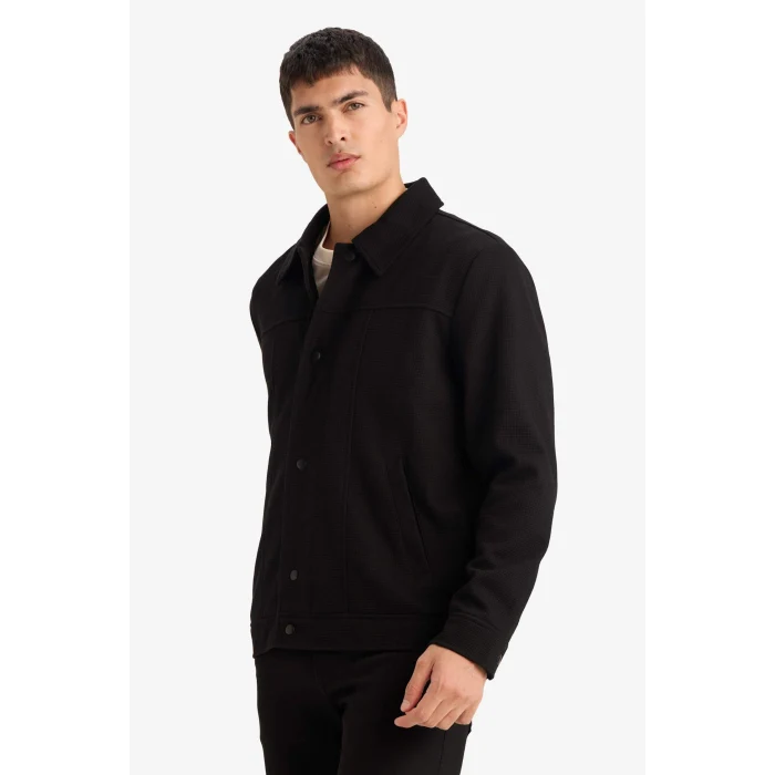 Defacto F8504AXBK27 Siyah Regular Fıt Polo Yaka Çıtçıtlı Mont