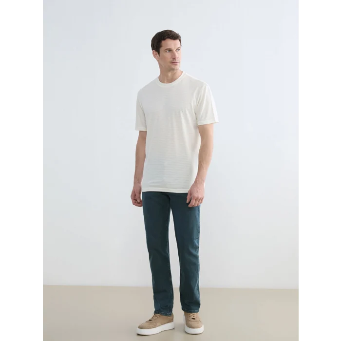 LCW Jeans Yeşil 779 Regular Fit Erkek Jean Pantolon