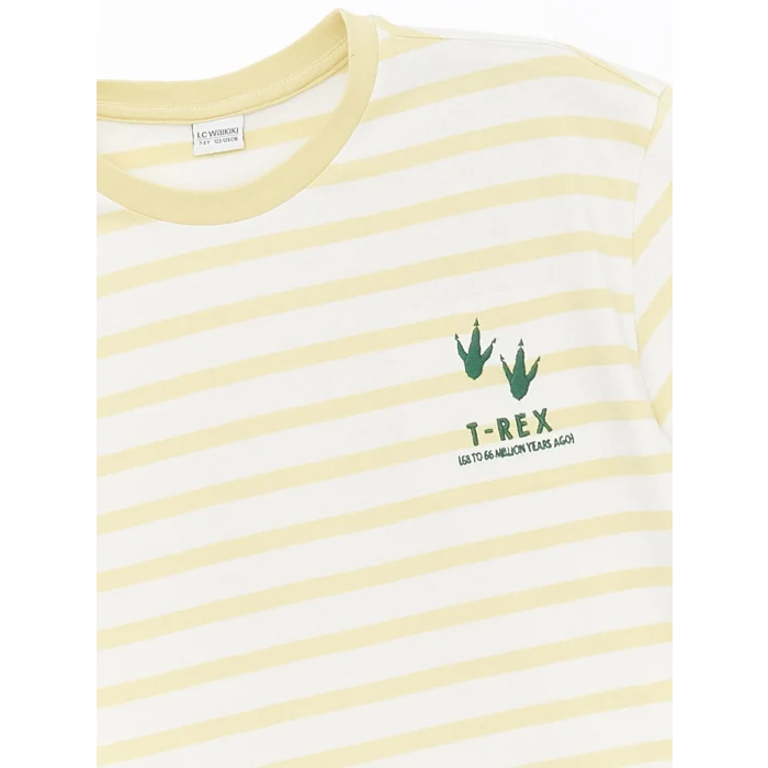 LCW Kids Yeşil Oversize Bisiklet Yaka Erkek Çocuk Tişört