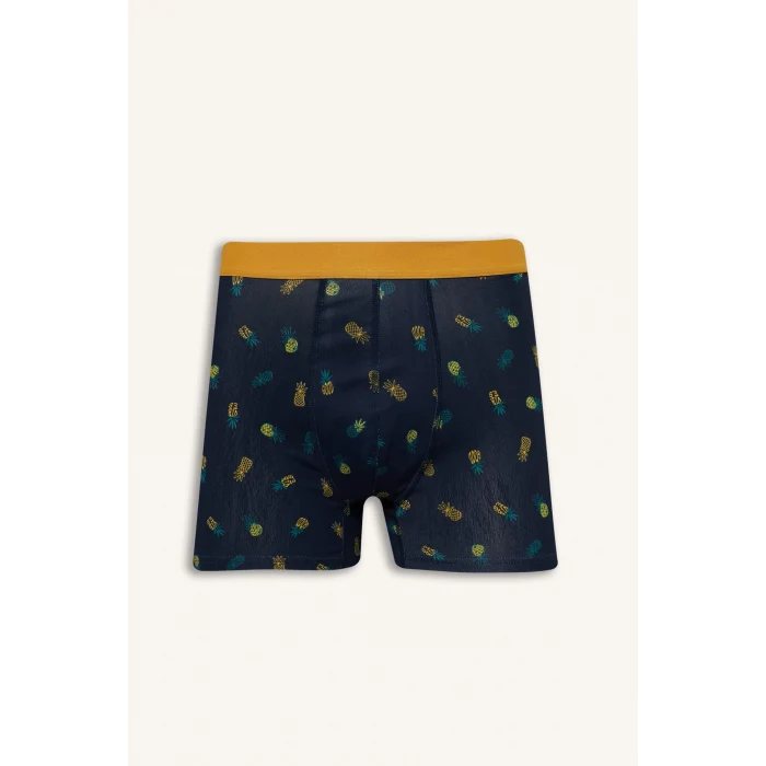 Defacto G8597AXNV135 Lacivert Regular Fıt Meyve Desenli 3lü Boxer Set