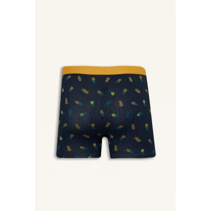 Defacto G8597AXNV135 Lacivert Regular Fıt Meyve Desenli 3lü Boxer Set