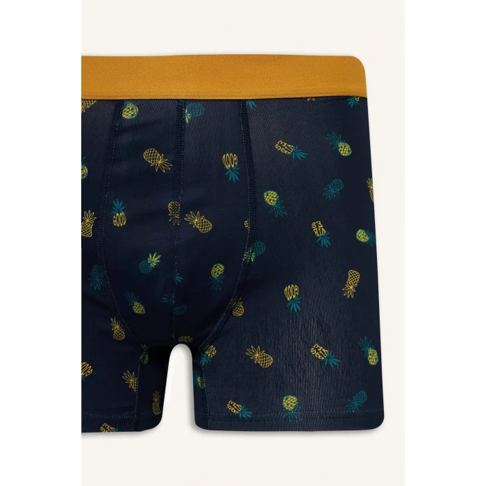 Defacto G8597AXNV135 Lacivert Regular Fıt Meyve Desenli 3lü Boxer Set