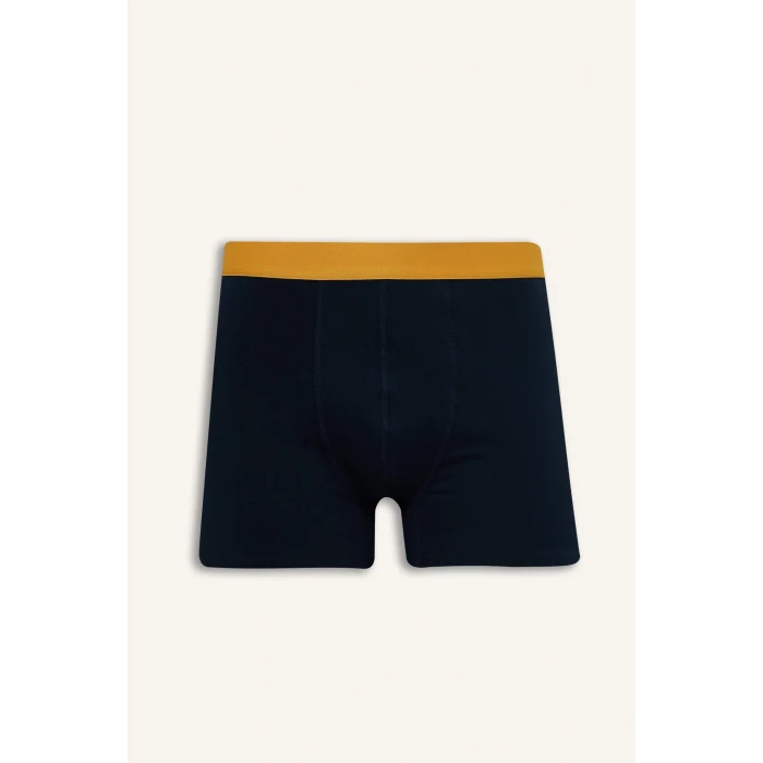 Defacto G8597AXNV135 Lacivert Regular Fıt Meyve Desenli 3lü Boxer Set