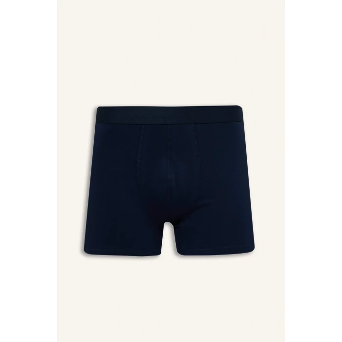Defacto G8597AXNV135 Lacivert Regular Fıt Meyve Desenli 3lü Boxer Set