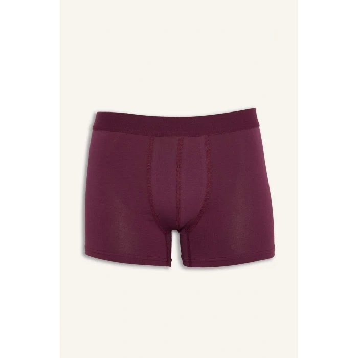 Defacto E0023AXPR102 Mor Regular Fıt 3lü Boxer