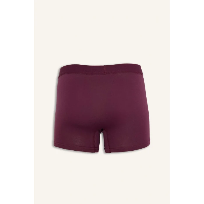 Defacto E0023AXPR102 Mor Regular Fıt 3lü Boxer