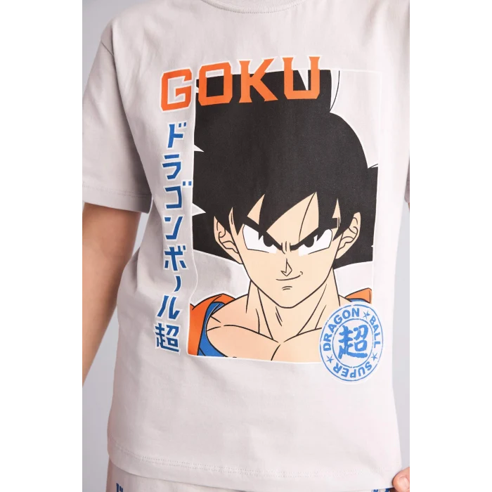 Defacto H4108A8GR184 Gri Dragon Ball Regular Fıt 2li Pijama Takımı Erkek Çocuk