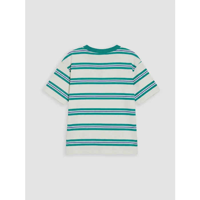 LCW Kids Yeşil Bisiklet Yaka Çizgili Erkek Çocuk Tişört
