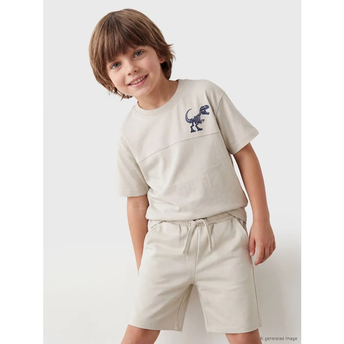 LCW Kids Gri Dinozor Baskılı Erkek Çocuk Tişört ve Şort Takım