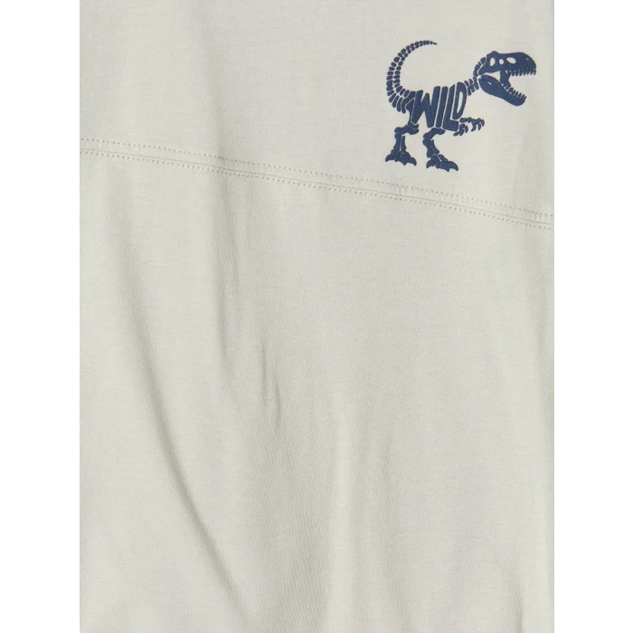 LCW Kids Gri Dinozor Baskılı Erkek Çocuk Tişört ve Şort Takım