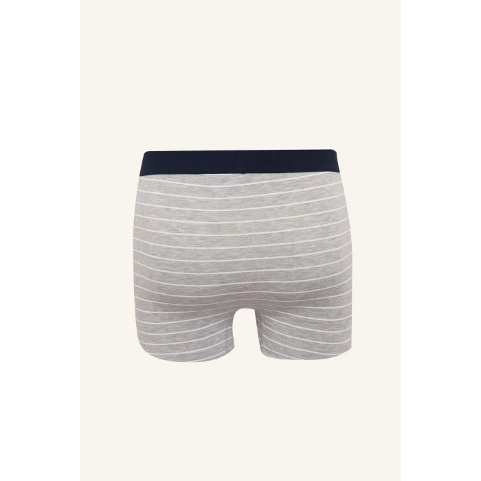 Defacto H4415AXNV135 Lacivert Regular Fıt Çizgili 3lü Boxer Set