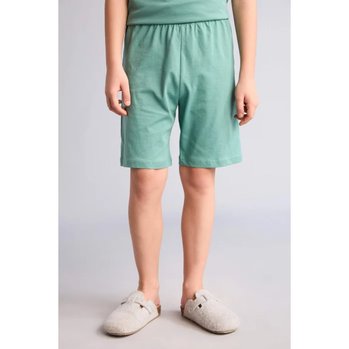 Defacto G8829A8GN1095 Yeşil %100 Pamuk Regular Fıt Baskılı 2li Pijama Takımı Erkek Çocuk