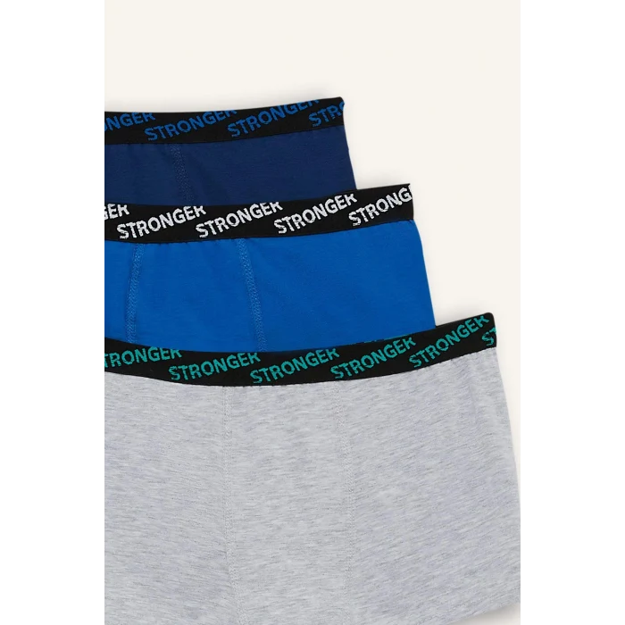 Defacto E1573A8BE43 Mavi 3lü Mavi Boxer Set Erkek Çocuk
