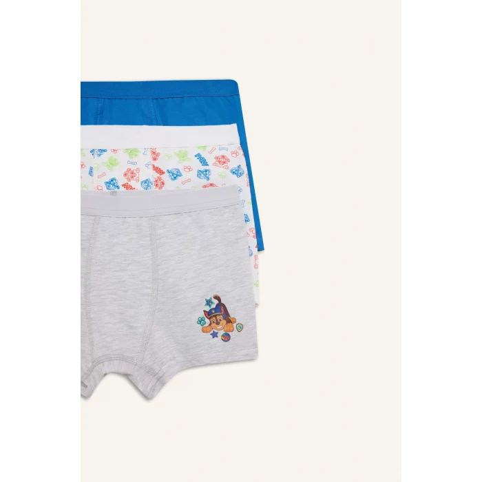 Defacto C2901A8BE43 Mavi Paw Patrol Lisanslı Desenli 3lü Mavi Boxer Erkek Çocuk