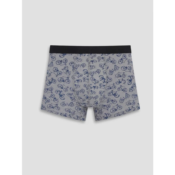 LC WAIKIKI Gri Pamuklu Esnek Erkek Boxer 3lü