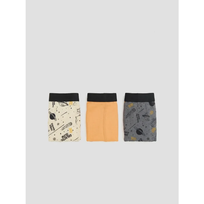 LCW Kids Gri Erkek Çocuk 3lü Boxer