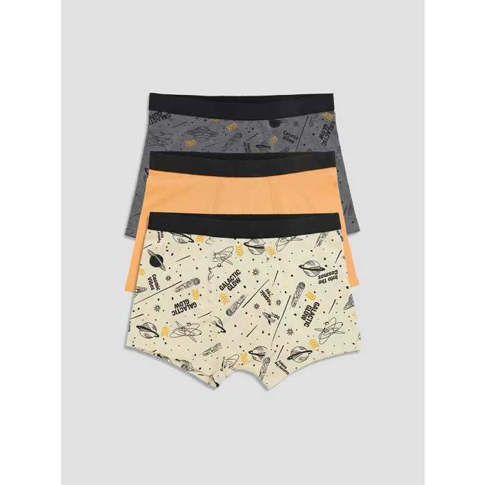 LCW Kids Gri Erkek Çocuk 3lü Boxer