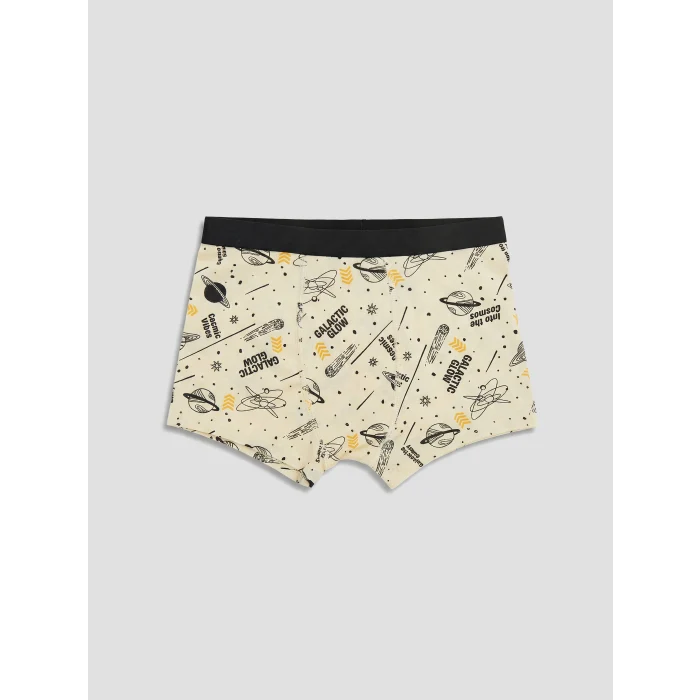 LCW Kids Gri Erkek Çocuk 3lü Boxer