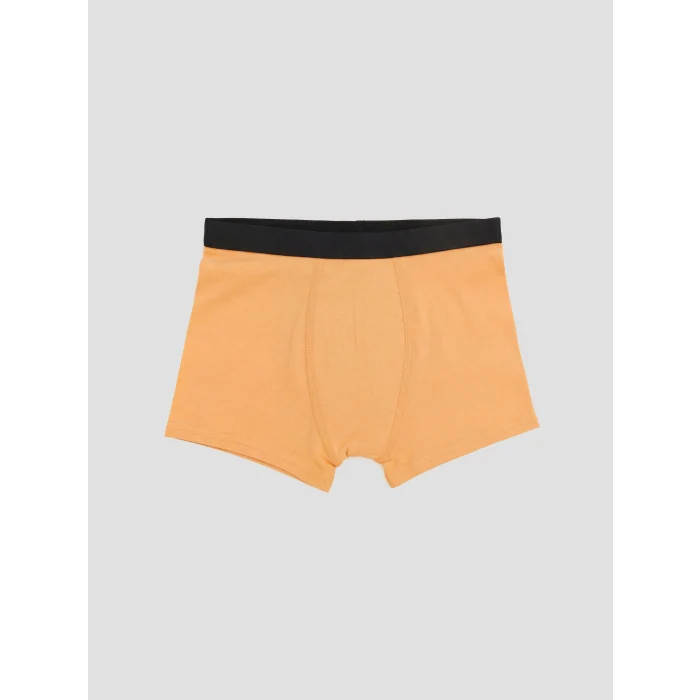 LCW Kids Gri Erkek Çocuk 3lü Boxer