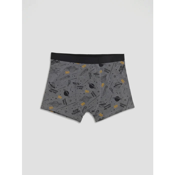 LCW Kids Gri Erkek Çocuk 3lü Boxer
