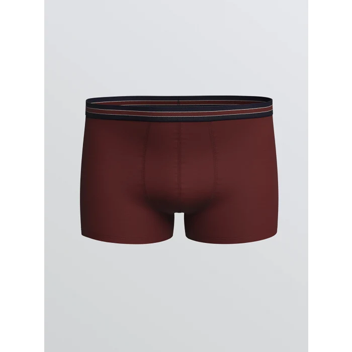 LC WAIKIKI Bordo Standart Kalıp Pamuklu Esnek Erkek Boxer 5li