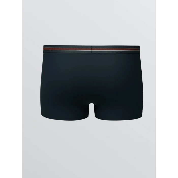 LC WAIKIKI Bordo Standart Kalıp Pamuklu Esnek Erkek Boxer 5li