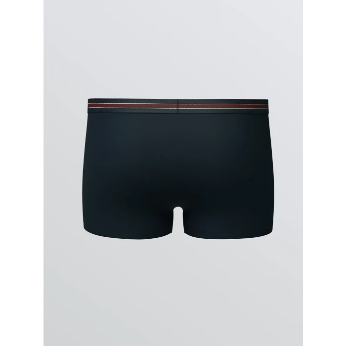 LC WAIKIKI Bordo Büyük Beden Standart Kalıp Pamuklu Esnek Erkek Boxer 3lü