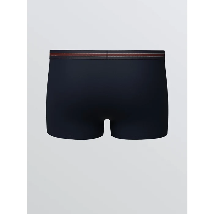 LC WAIKIKI Bordo Büyük Beden Standart Kalıp Pamuklu Esnek Erkek Boxer 3lü