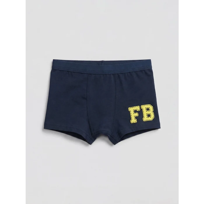LCW Kids Lacivert Fenerbahçe Lisanslı Erkek Çocuk 3lü Boxer