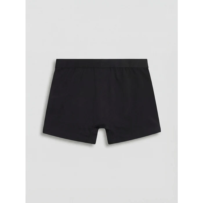 LC WAIKIKI Siyah Regular Fit Pamuklu Esnek Erkek 3lü Boxer