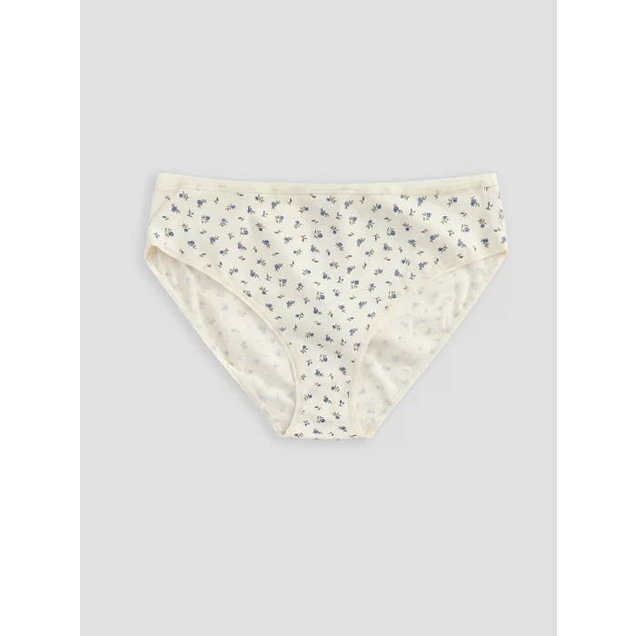 LCW DREAM Ekru Desenli Bikini Külot 3lü