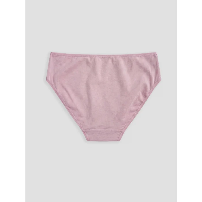 LCW DREAM Lila Düz Bikini Külot 3lü