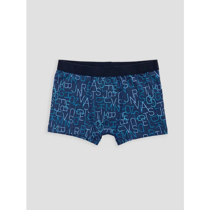 LCW Kids Mavi Erkek Çocuk 3lü Boxer